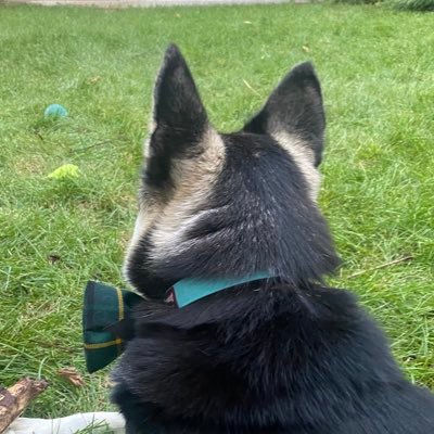 jbrawny's profile picture. 😎
https://t.co/0pV2V3WBfS