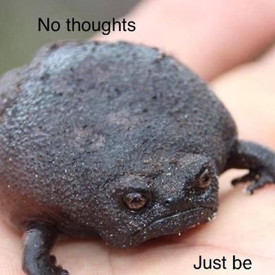 LRonMusk1's profile picture. 