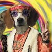 Davo (@davo) 's Twitter Profile