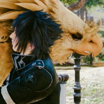 ym_1250's profile picture. YW / (ff15),(ff16)バルクラmain, and all/ JP, Eng ok / 🔞