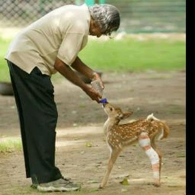 g_dhamo's profile picture. 