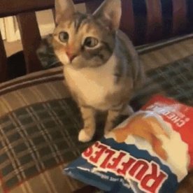 BluCandiedApple's profile picture. 