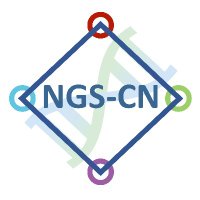 NGS-CN(@NGSCN_de) 's Twitter Profile Photo