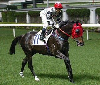 beowulffoo's profile picture. @RealZaqi