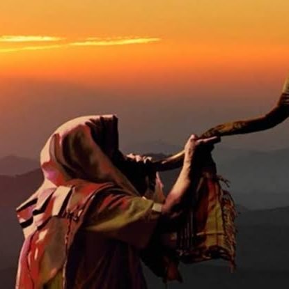 EuVouEntregar's profile picture. 