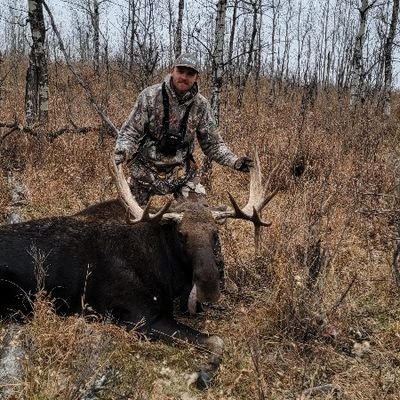 spryguy22's profile picture. 