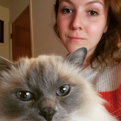 Jackiefortier95's profile picture. PhD student in Musicology at Indiana University.