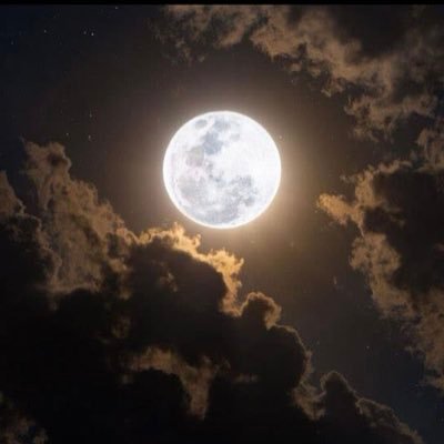 جميع ما يذكر بالحساب رؤيه فنيه ليست توصيه للشراء او الدخول وقرار الشراء والبيع مسؤوليتك وانا غير مسؤول لان بعض الأسهم لحظيه وليست استثمار 💕❤️🌹