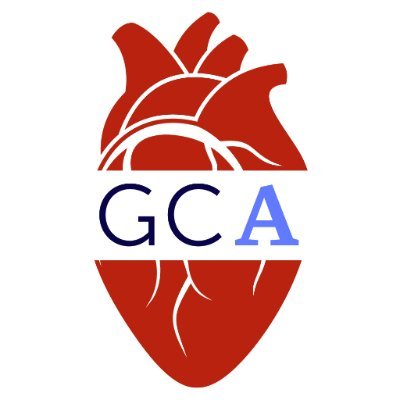 The Global Cardiology Academy (GCA) is an educational program for physicians and other healthcare professionals involved in cardiology.
