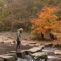 Sophie (SLT) (@sophieg88) 's Twitter Profile