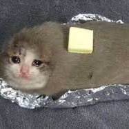 Potatoeman170's profile picture. Sonic heros is peak sonic