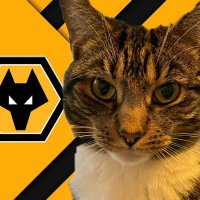 Carmen Tabby #3.5% #FBPE #GTTO #RejoinEU(@KatKatisha) 's Twitter Profile Photo