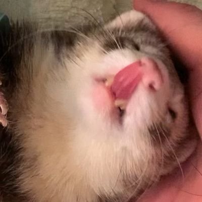 Thinking about women
