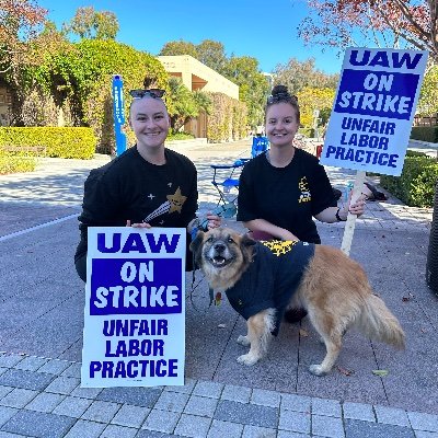 Welcome to #DogsofthePicketLine, sharing four-legged solidarity with striking  UC Academic workers! #FairUCnow

@uaw2865
@UAW5810
@sruuaw