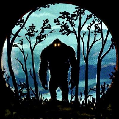 Encounter stories of Bigfoot from around North America. Recently added a series of podcast interviews too! Check out the website!
