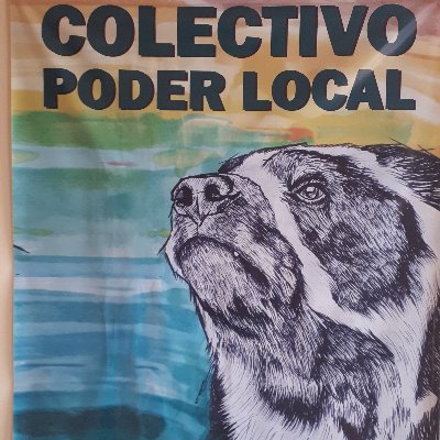 COLECTIVO PODER LOCAL, construyendo poder popular desde los territorios.