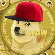Doge Will Win (@dogecoin_wins) 's Twitter Profile Photo Doge Will Win (@dogecoin_wins) 's Twitter Profile Photo