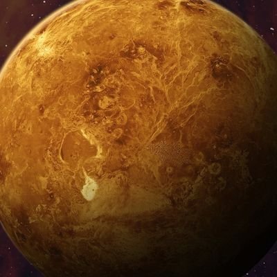 venus_update's profile picture. ❗️update logs for venus                                                                               •dm submissions