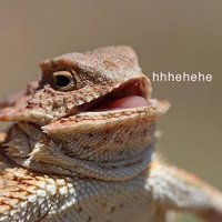 Look at THIS (@bigolderp) 's Twitter Profile