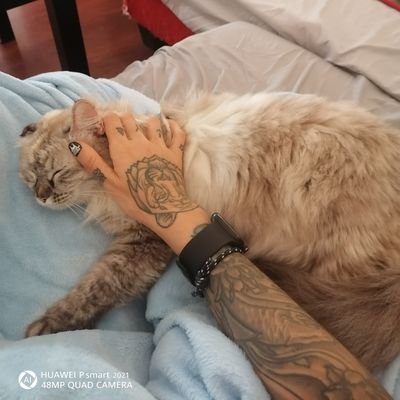 Cristinareby87's profile picture. 