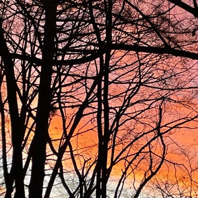 EmY0MpSyt2OAAMr's profile picture. 