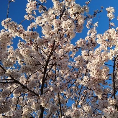 国立大医学部学士編入を目指している社会人です! 勉強アカウントの方々は勿論たくさんの方々と繋がりたいです! 一緒に頑張りましょう!鬼滅劇場版無限城編👹7月18日ロードショー公開🥷