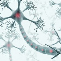 Center for Applied Neural Engineering (@zackraylab) 's Twitter Profile