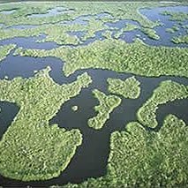 PabloAGomez_'s profile picture. 🇺🇸