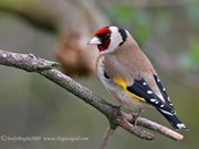 mkaouarmohamed's profile picture. 