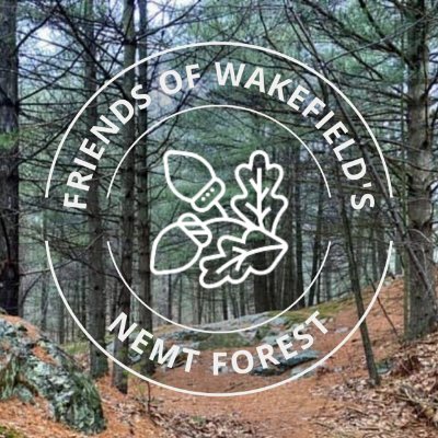 Friends of Wakefield's NEMT Forest would like you to help save a pristine, native irreplaceable Forest Ecosystem from senseless and irreversible destruction.