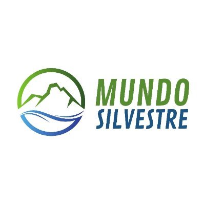 msilvestrearg Profile Picture