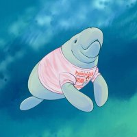 manatee 🦭(@driftingmanatee) 's Twitter Profile Photo