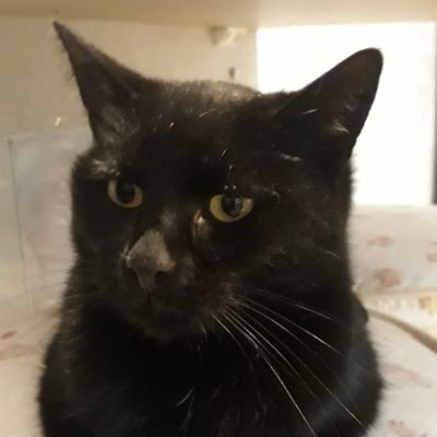 yoongikluseczka's profile picture. 23yo engineering student