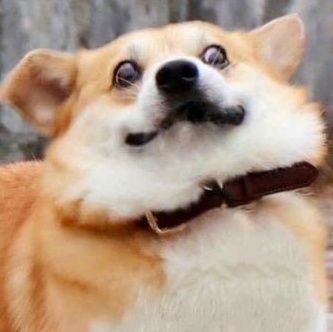 THz2102's profile picture. Nunca vão entender esse amor /✠/