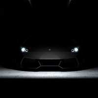 Jacey || ❤️ Memecoin (@jaceymnorman) 's Twitter Profile