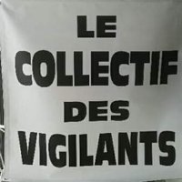 Collectif des vigilants(@Coviigi) 's Twitter Profile Photo