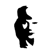 sotkoik's profile picture. 