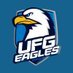 UFG Eagles Esports (@UFGEagles) Twitter profile photo