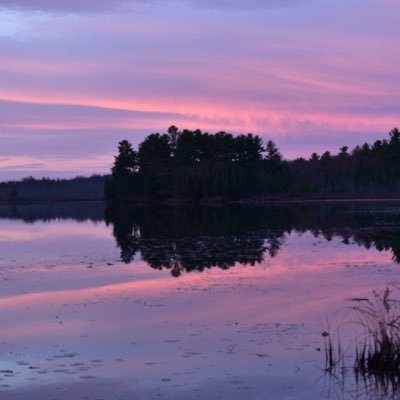 KDianePick's profile picture. Consultant @LaridaeComms | Retired CEO. Full time mom & gramma. Champion for kids. Novice photographer.