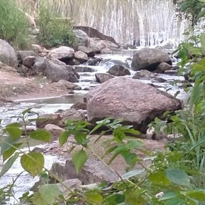 RakeshbhayalRa1's profile picture. 