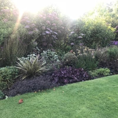 hs3138's profile picture. 