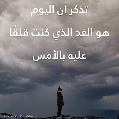 Mobi_Wins_Leb's profile picture. MobiWins