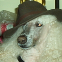 Donna Milliken - @soloDBA - Twitter