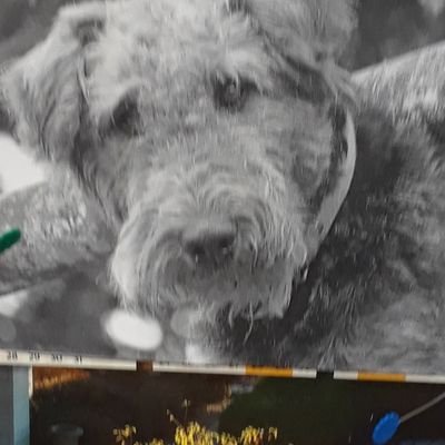 Maggie93416732's profile picture. no dm