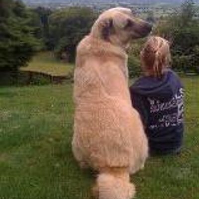 Jo Avery Jojoavery Twitter