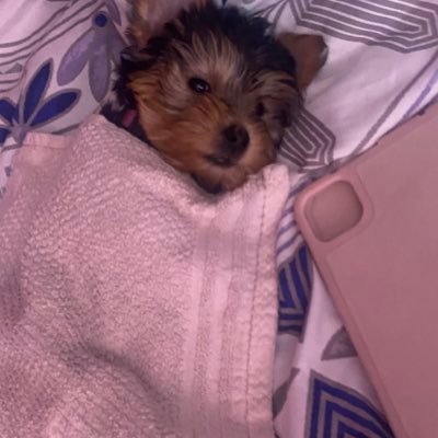 TeAnne0's profile picture. Bio..