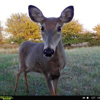 P. Baker (@pbaker75702728) 's Twitter Profile