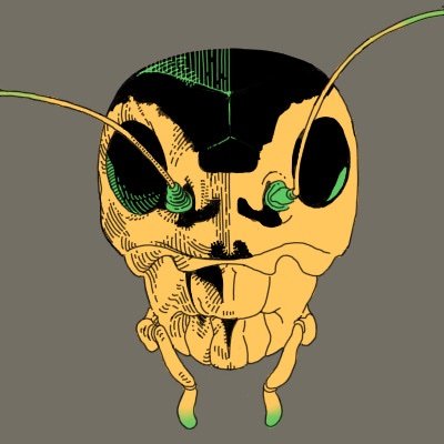 エカキコオロギ（エコギ）🔞