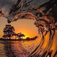 feva02's profile picture. 