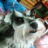 MasterMisuri (@mastermisuri) 's Twitter Profile
